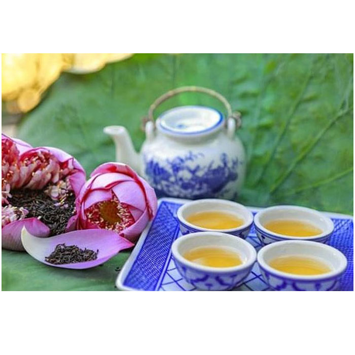 Trà shan tuyết cổ thụ Hà Giang Hagintea