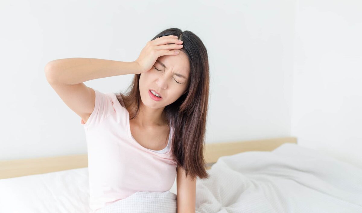 Trà shan tuyết cổ thụ Hà Giang Hagintea