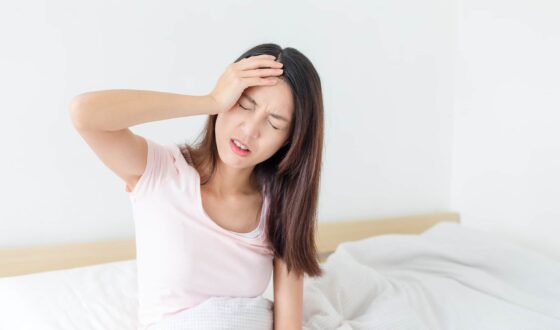 Trà shan tuyết cổ thụ Hà Giang Hagintea